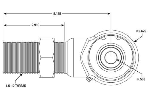 Shocks & Struts - Bearings