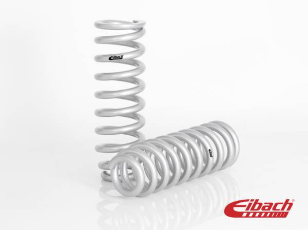 Eibach Springs - Eibach Springs PRO-LIFT-KIT Springs (Rear Springs Only) E30-82-006-05-02 - Image 1