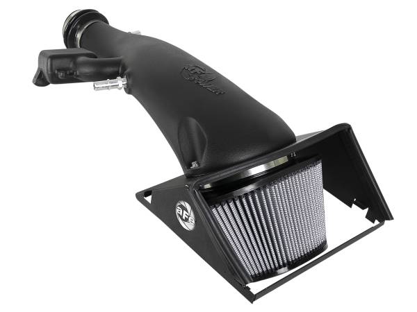 aFe Power - aFe Power Magnum FORCE Stage-2 Cold Air Intake System w/ Pro DRY S Filter Ford F-150 18-20 V6-3.3L - 54-13019D - Image 1