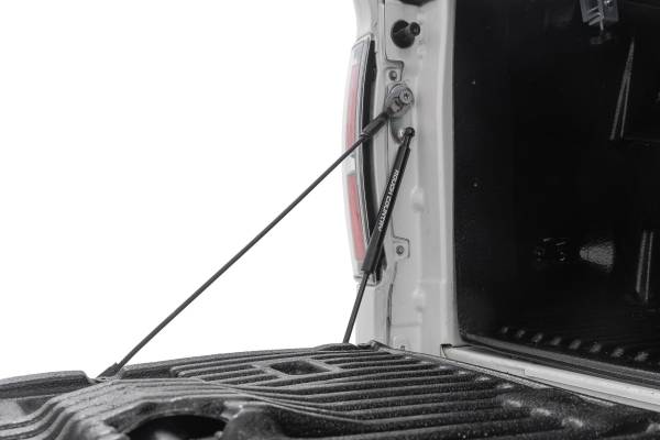 Rough Country - Rough Country Tailgate Assist  -  73214 - Image 1