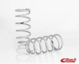 Eibach Springs PRO-LIFT-KIT Springs (Rear Springs Only) E30-82-073-01-02