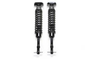 Fabtech 2.5DLSS C/O N/R 15 F150 4WD 4" PAIR PACKAGED FTS22183