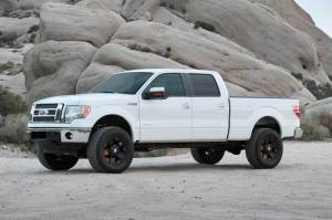 Fabtech - Fabtech 4" PERF SYS W/DLSS 2.5 C/O RESI & RR DLSS 2009-13 FORD F150 4WD K2198DL - Image 2