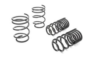 Eibach Springs - Eibach Springs PRO-KIT Performance Springs (Set of 4 Springs) 3895.140 - Image 1