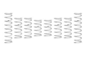 Eibach Springs PRO-UTV - Stage 3 Performance Spring System (Set of 8 Springs) E85-209-027-03-22