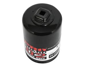 aFe Power - aFe Power Pro GUARD D2 Oil Filter (4 Pack) - 44-LF011-MB - Image 5