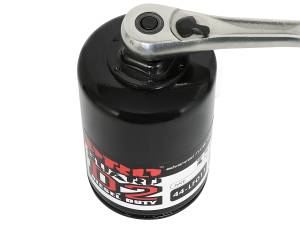 aFe Power - aFe Power Pro GUARD D2 Oil Filter (4 Pack) - 44-LF011-MB - Image 6