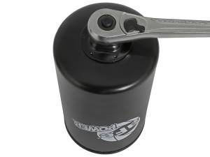 aFe Power - aFe Power Pro GUARD D2 Oil Filter (4 Pack) - 44-LF002-MB - Image 7