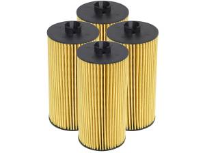 aFe Power Pro GUARD D2 Oil Filter (4 Pack) - 44-LF003-MB