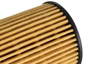 aFe Power - aFe Power Pro GUARD D2 Oil Filter (4 Pack) - 44-LF026-MB - Image 5