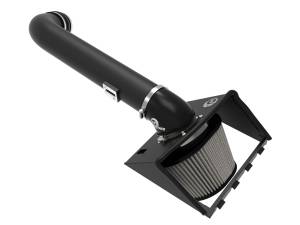 aFe Power Magnum FORCE Stage-2 Cold Air Intake System w/ Pro DRY S Filter Ford F-150 09-10 V8-5.4L - 51-11622-B