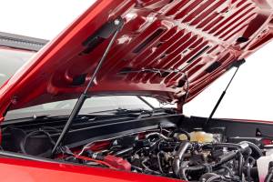 Rough Country Hood Struts  -  72108