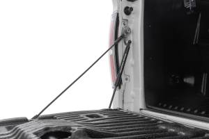 Rough Country Tailgate Assist  -  73214