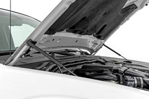 Rough Country Hood Struts  -  82013