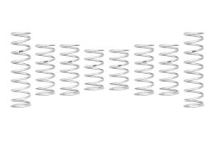 Eibach Set of 8 Springs  -  e85-209-034-02-22