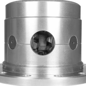 Yukon DANA 4.11 and down Ratio 30 Spline Limited Slips YDGD60-3-30