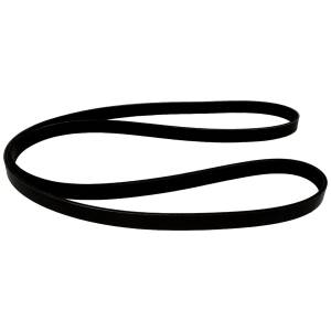 Crown Automotive Jeep Replacement Parts | 1350 Offroad - Crown Accessory Drive Belt, 79.5-in Long, 6 Ribs - 4627166AC - Image 4