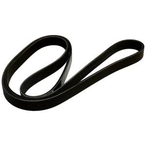 Crown Automotive Jeep Replacement Parts | 1350 Offroad - Crown Accessory Drive Belt, 66.4-in Long, 6 Ribs - 5281374AA - Image 3