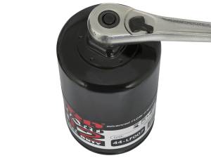 aFe Power Performance Parts & Installation | 1350 Offroad - aFe Pro GUARD D2 Oil Filter (4 Pack) - 44-LF007-MB - Image 6