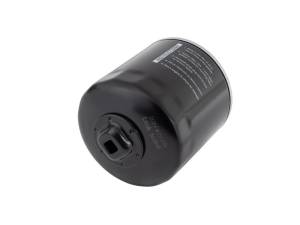 aFe Power Performance Parts & Installation | 1350 Offroad - aFe Pro GUARD D2 Oil Filter (4 Pack) - 44-LF008-MB - Image 3