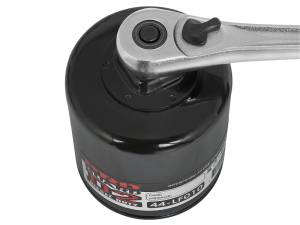 aFe Power Performance Parts & Installation | 1350 Offroad - aFe Pro GUARD D2 Oil Filter (4 Pack) - 44-LF010-MB - Image 5