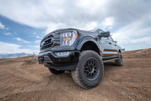 ReadyLIFT Suspension & Leveling Kits | 1350 Offroad - ReadyLIFT Big Lift Kit - 44-21630 - Image 2
