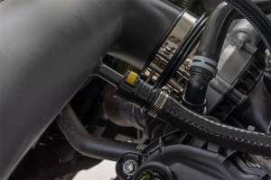 Rough Country Lift Kits & Suspension | 1350 Offroad - Rough Country Cold Air Intake, Kit, 5.0L, Intake Tube, Reusable Air Filter - 10473 - Image 5