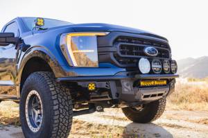 DV8 Offroad Bumpers & Jeep Accessories | 1350 Offroad - DV8 21-23 Ford F-150 Tube Front Bumper - FBFF1-13 - Image 6