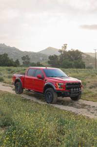 DV8 Offroad Bumpers & Jeep Accessories | 1350 Offroad - DV8 Ford 17-20 Ford F-150 Raptor Tube Front Bumper - FBFR1-01 - Image 3