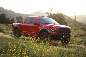 DV8 Offroad Bumpers & Jeep Accessories | 1350 Offroad - DV8 Ford 17-20 Ford F-150 Raptor Tube Front Bumper - FBFR1-01 - Image 12