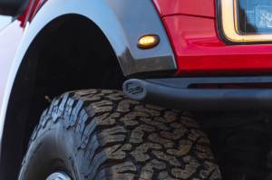 DV8 Offroad Bumpers & Jeep Accessories | 1350 Offroad - DV8 Ford 17-20 Ford F-150 Raptor Tube Front Bumper - FBFR1-01 - Image 16