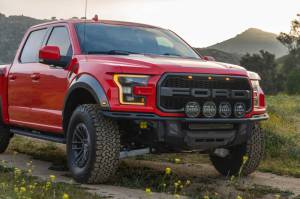 DV8 Offroad Bumpers & Jeep Accessories | 1350 Offroad - DV8 Ford 17-20 Ford F-150 Raptor Tube Front Bumper - FBFR1-01 - Image 21