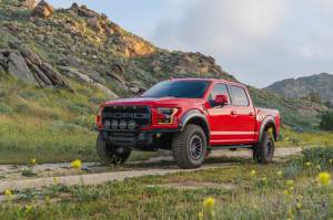 DV8 Offroad Bumpers & Jeep Accessories | 1350 Offroad - DV8 Ford 17-20 Ford F-150 Raptor Tube Front Bumper - FBFR1-01 - Image 20