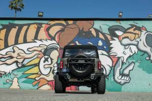 DV8 Offroad Bumpers & Jeep Accessories | 1350 Offroad - DV8 2021+ Ford Bronco Competition Series Rear Bumper - RBBR-05 - Image 4