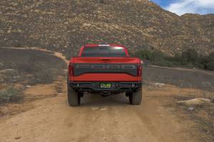 DV8 Offroad Bumpers & Jeep Accessories | 1350 Offroad - DV8 2017-2020 Ford F-150 Raptor Tube Rear Bumper - RBFR1-01 - Image 1