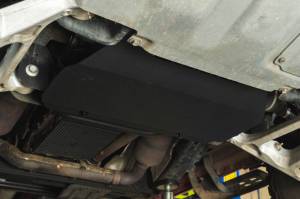 DV8 Offroad Bumpers & Jeep Accessories | 1350 Offroad - DV8 17-20 Ford F-150 Raptor Front Diff Skid Plate - SPFF1-01 - Image 1