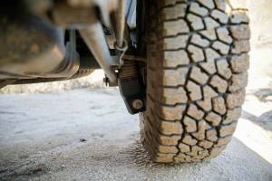 DV8 Offroad Bumpers & Jeep Accessories | 1350 Offroad - DV8 10-23 Toyota 4Runner Rear Shock Skid Plates - SPTF3-01 - Image 2