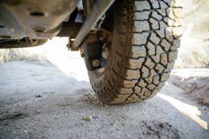 DV8 Offroad Bumpers & Jeep Accessories | 1350 Offroad - DV8 10-23 Toyota 4Runner Rear Shock Skid Plates - SPTF3-01 - Image 7