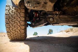 DV8 Offroad Bumpers & Jeep Accessories | 1350 Offroad - DV8 2024+ Toyota Tacoma A-Arm Skid Plates - SPTT1-05 - Image 9