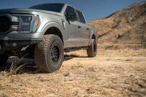 DV8 Offroad Bumpers & Jeep Accessories | 1350 Offroad - DV8 15-24 Ford F-150 Crew Cab - OE Plus Side Steps - SRFF1-01 - Image 8