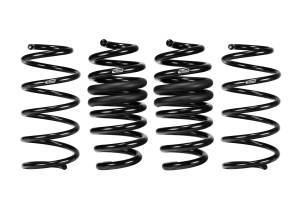 Eibach Springs & Suspension Upgrades | 1350 Offroad - Eibach Pro-Kit Springs E10-35-051-03-22 - Image 1