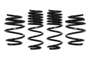 Eibach Springs & Suspension Upgrades | 1350 Offroad - Eibach Pro-Kit Springs E10-40-036-03-22 - Image 1