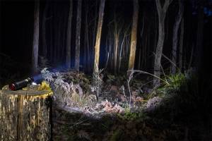 ARB Off-Road Accessories & Installation | 1350 Offroad - ARB Pureview 800 Flashlight 10500070 - Image 3